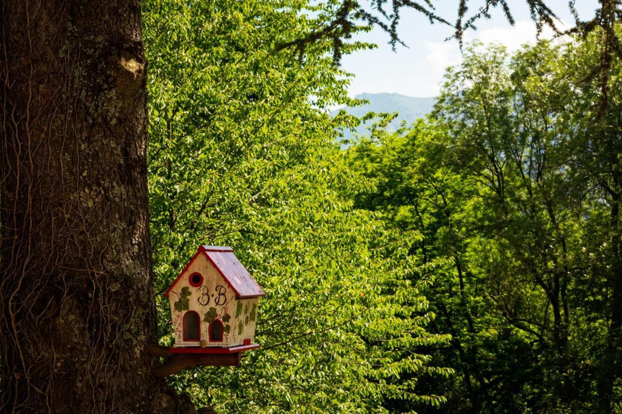 La Demeure Aux Pins Bed and Breakfast Lourdes Exterior foto